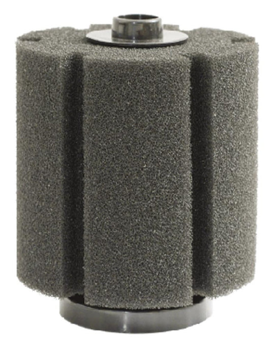 Rectangle, Black, 1ea/6 in, LG