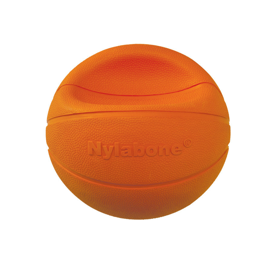 Basketball, 1ea/Large (1 ct)