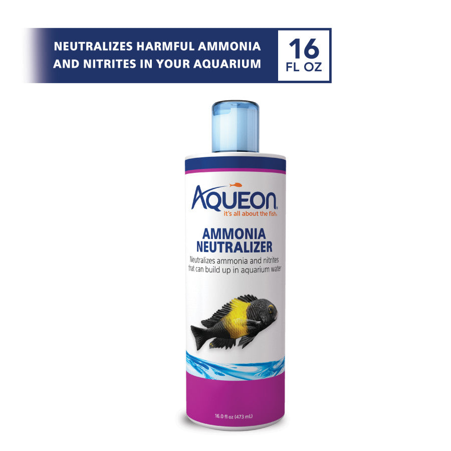 1ea/16 fl oz