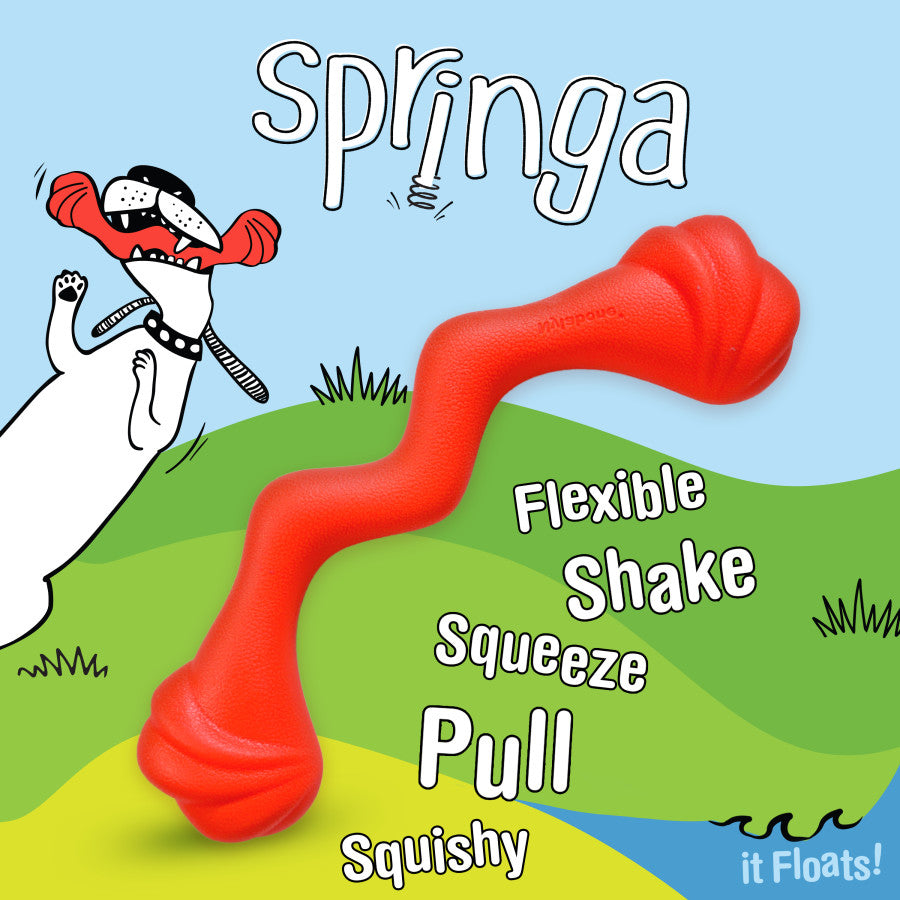 Springa, 1ea/- Not Intended For Chewing