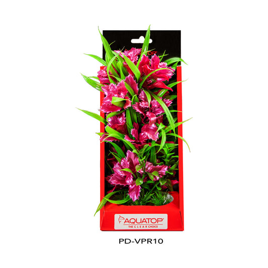 Rose, 1ea/10 in