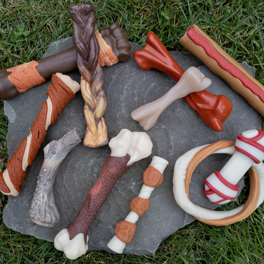 Antler, Venison, 1ea/Medium/Wolf (1 ct)