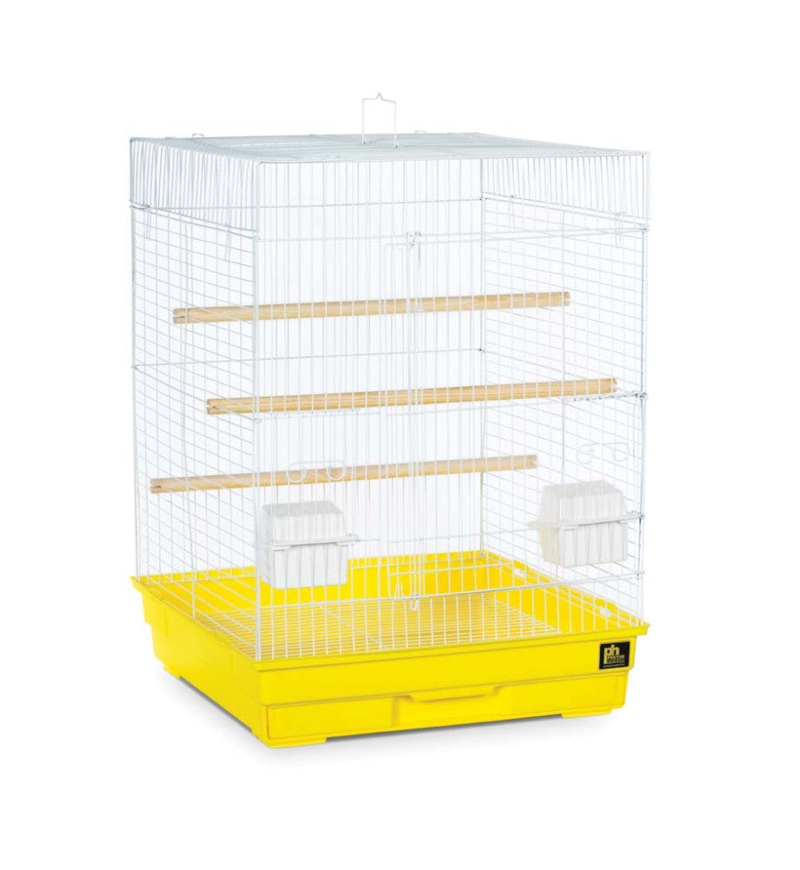 White/Light Green, White/Periwinkle, White, White/Yellow, 4ea/4 pk