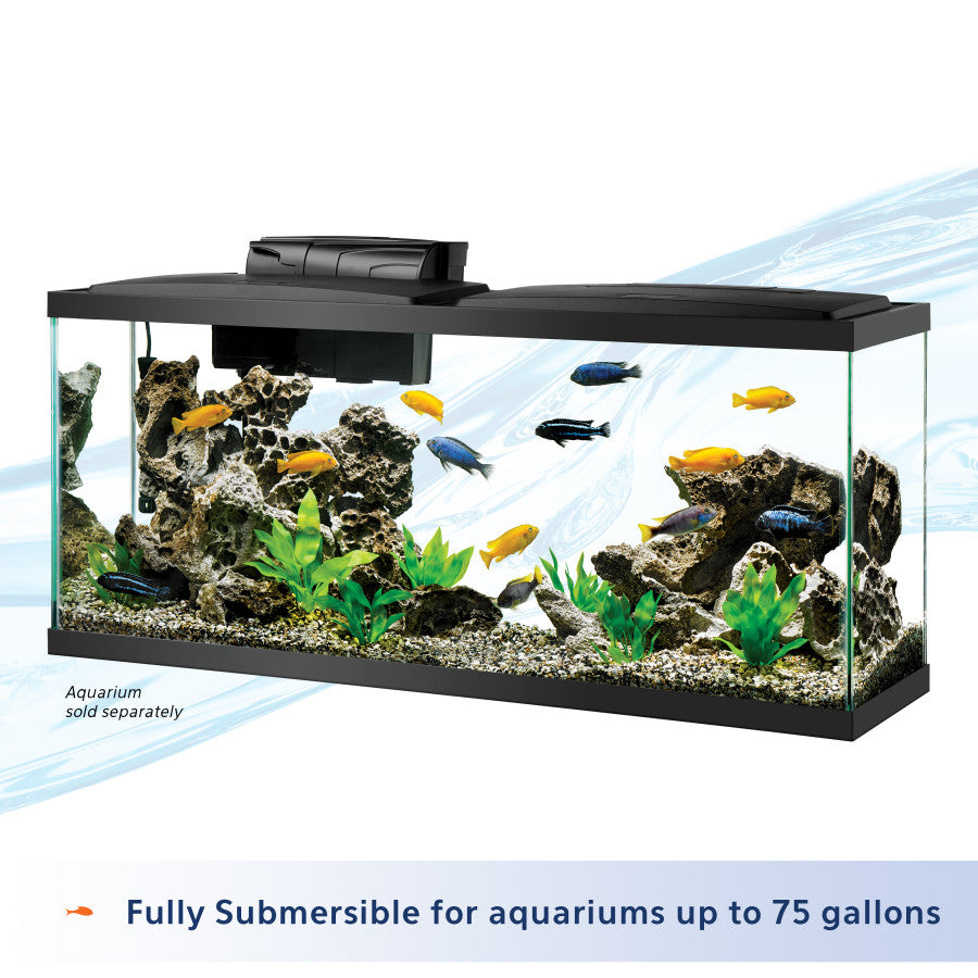 1ea/Black, 200 W