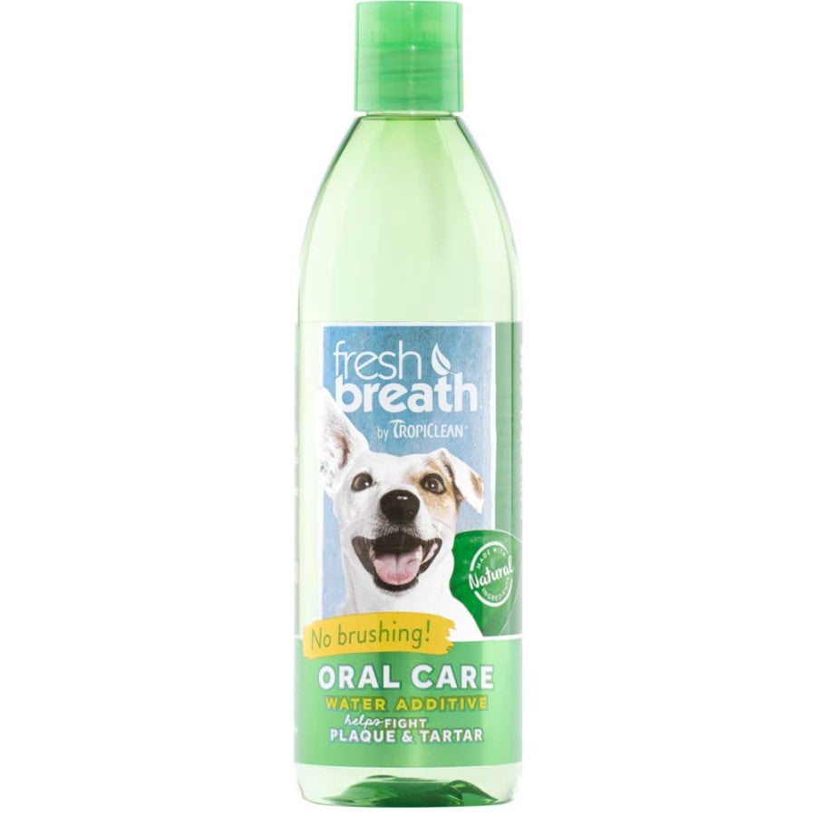 1ea/16 fl oz