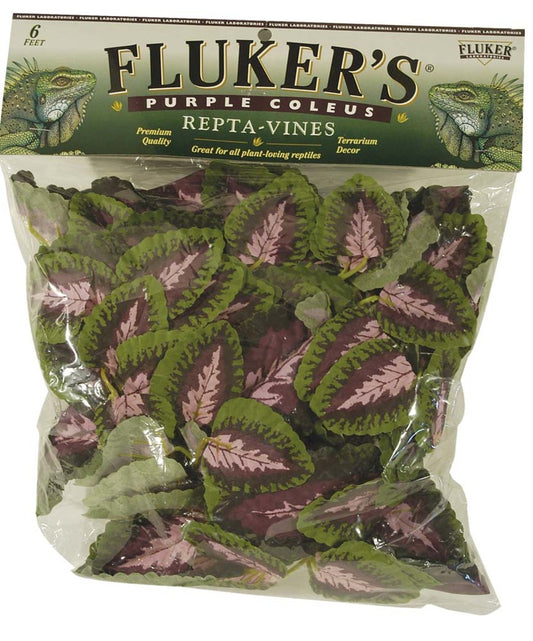 Green, Purple, 1ea/6 ft