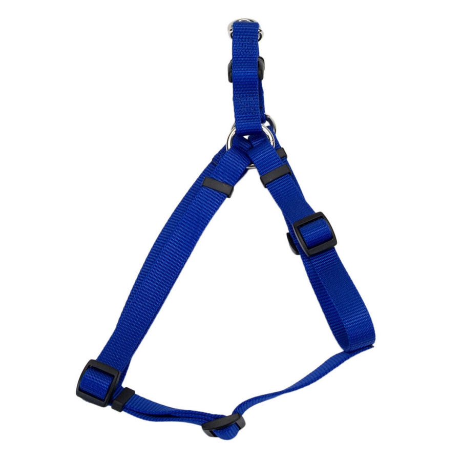Blue, 1ea/LG, 1In X 26-38 in