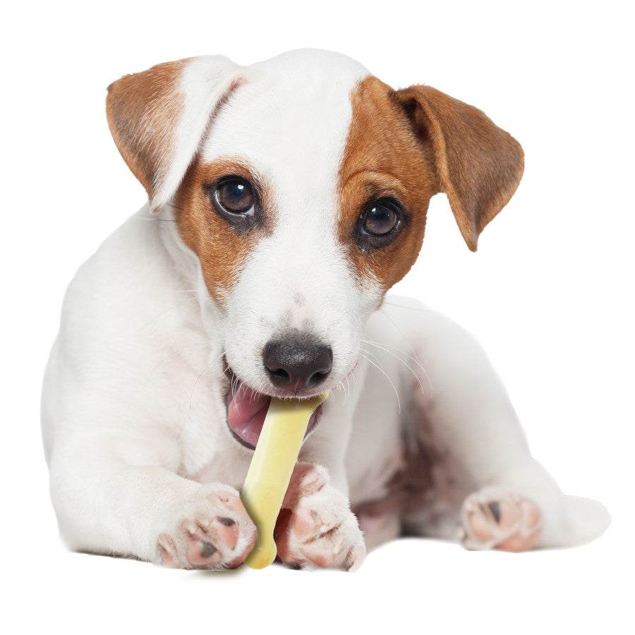 Original, 1ea/SMall/Regular (1 ct)