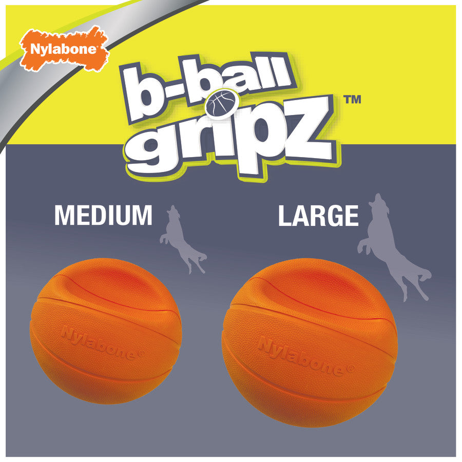 Basketball, 1ea/Large (1 ct)