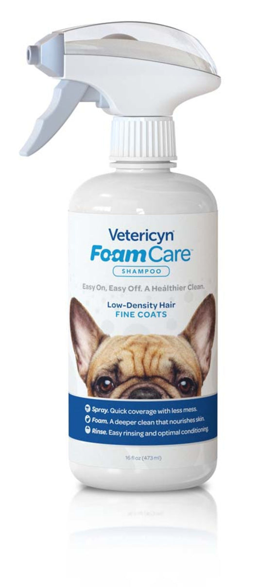 1ea/16 fl oz