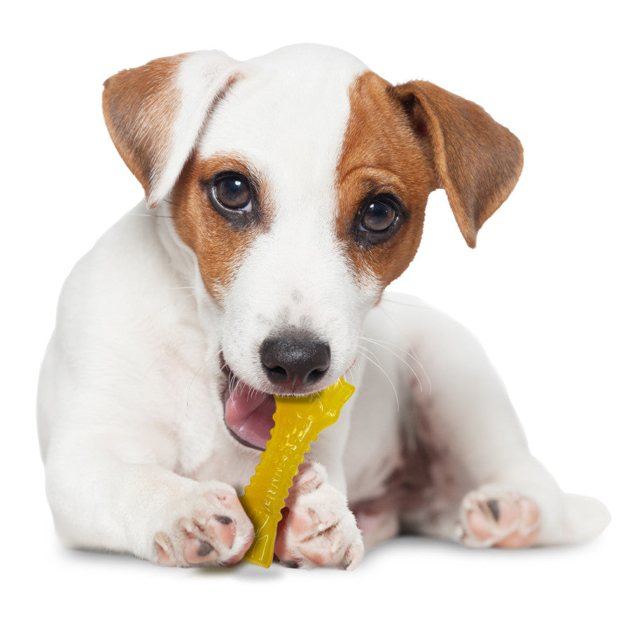 Puppy, Lamb & Apple, 1ea/SMall/Regular (1 ct)