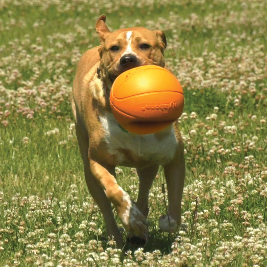 Basketball, 1ea/Medium (1 ct)