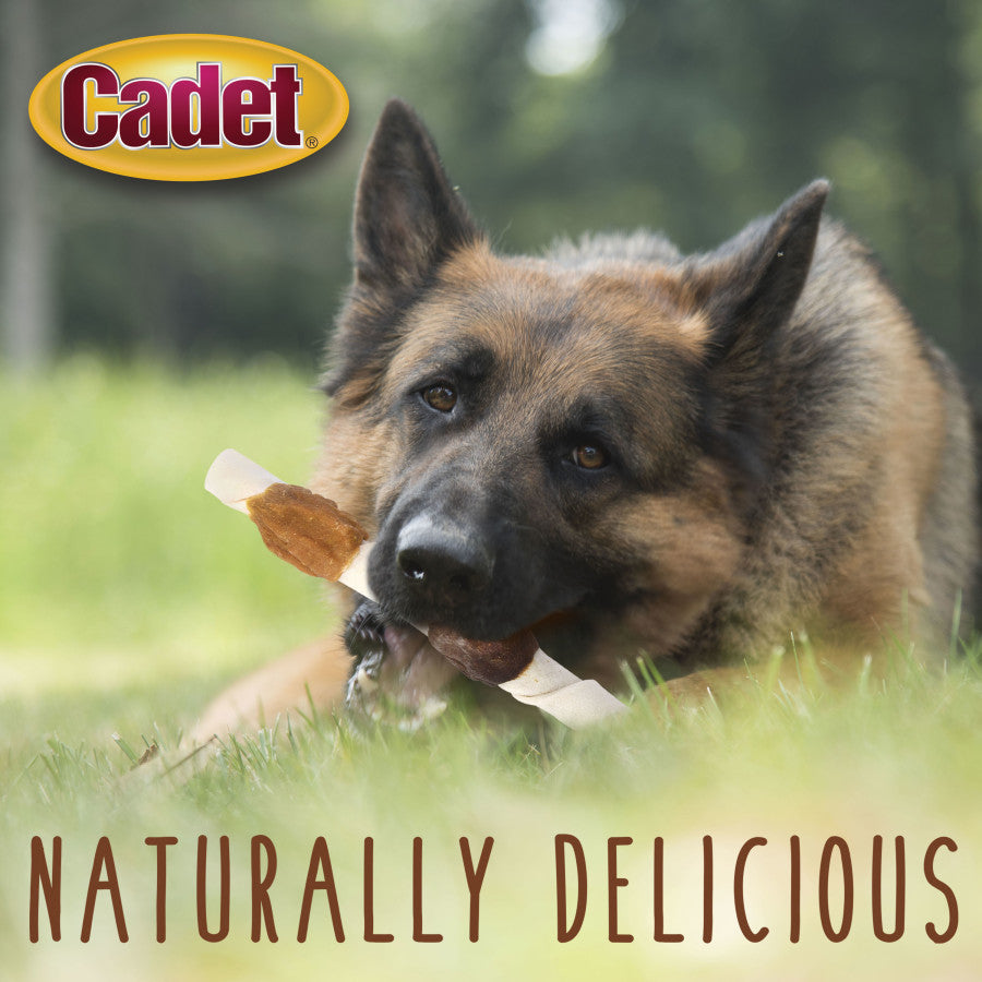 X-Large, Chicken, Chicken Liver & Sweet Potato, 1ea/(15 ct)