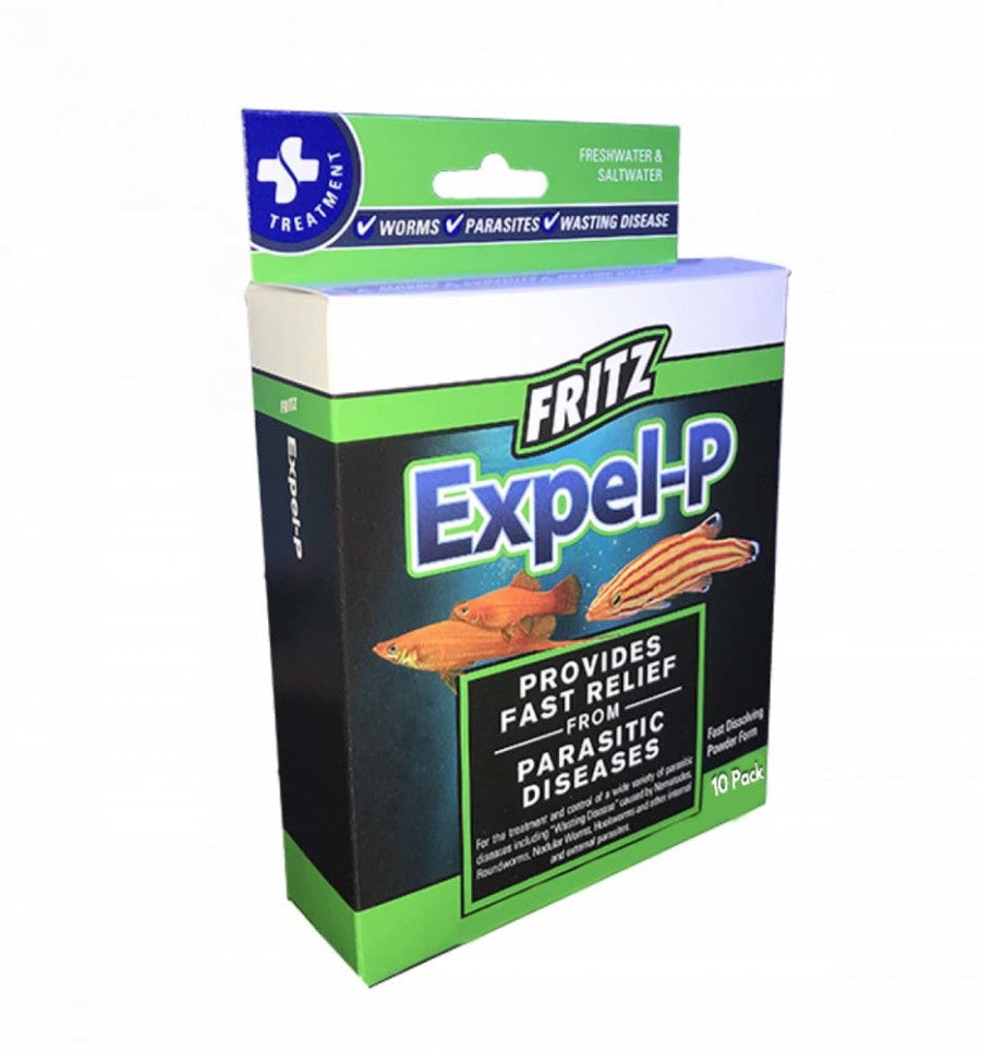 1ea/10 ct