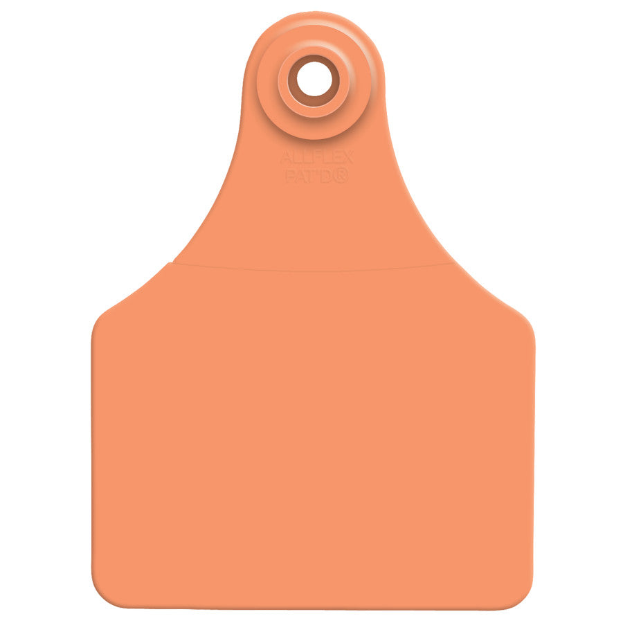 Orange, 1ea/25 pk