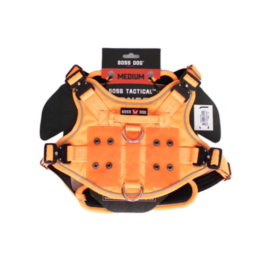 Hunter Orange, 1ea/MD