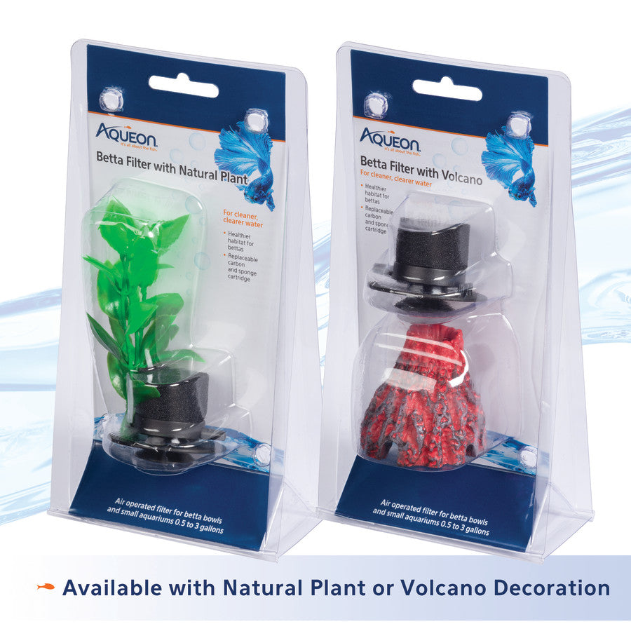Natural Plant, 1ea/One Size