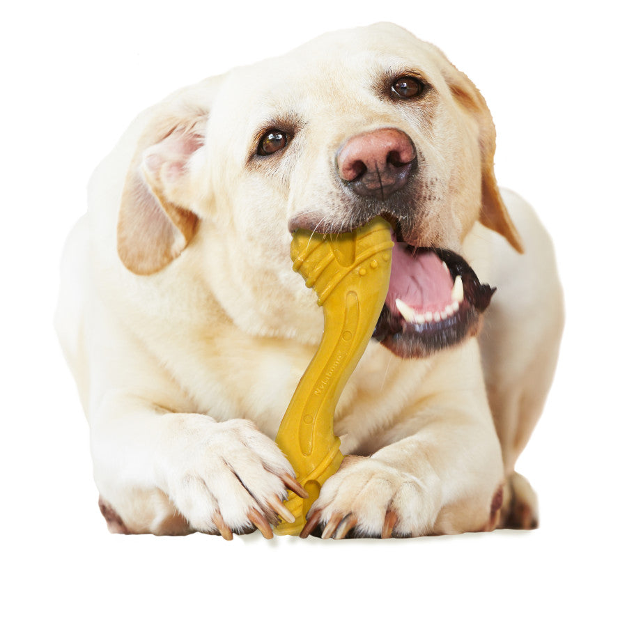 Peanut Butter Flavor, 1ea/Large/Giant - Up To 50 lb