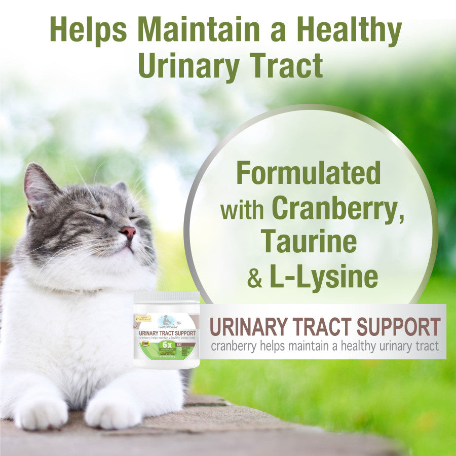 Urinary Tract, 1ea/110 ct