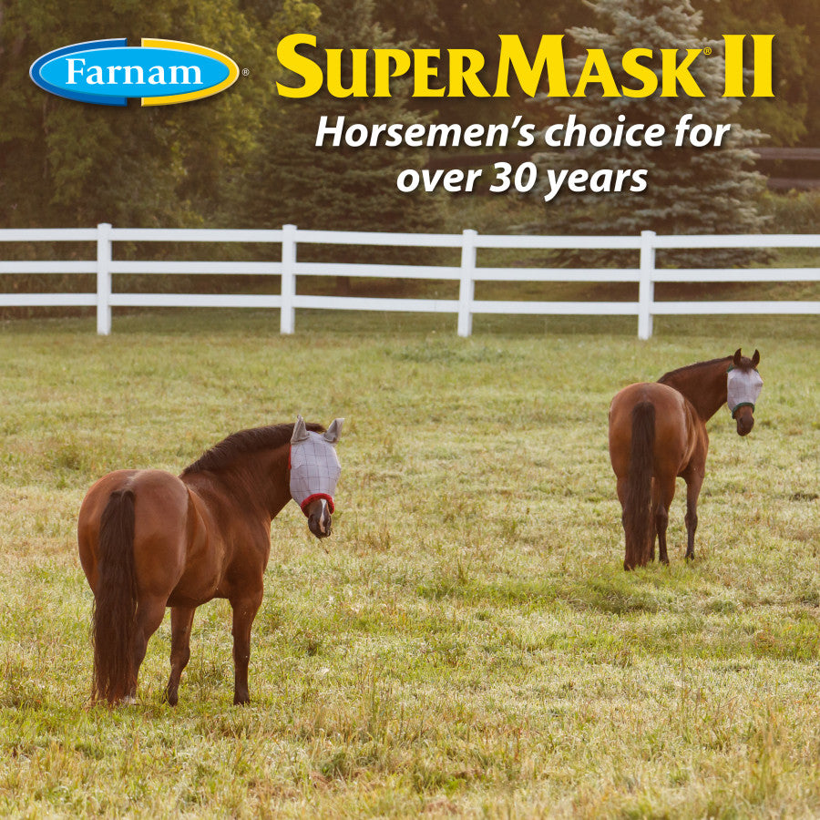 Without Ears, Assorted Colors, 1ea/Foal