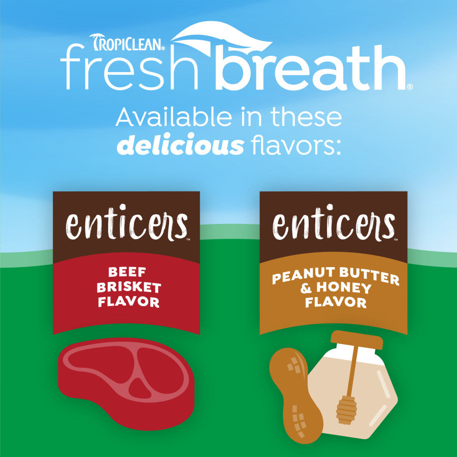 Smoked Beef Brisket, 1ea/2 oz