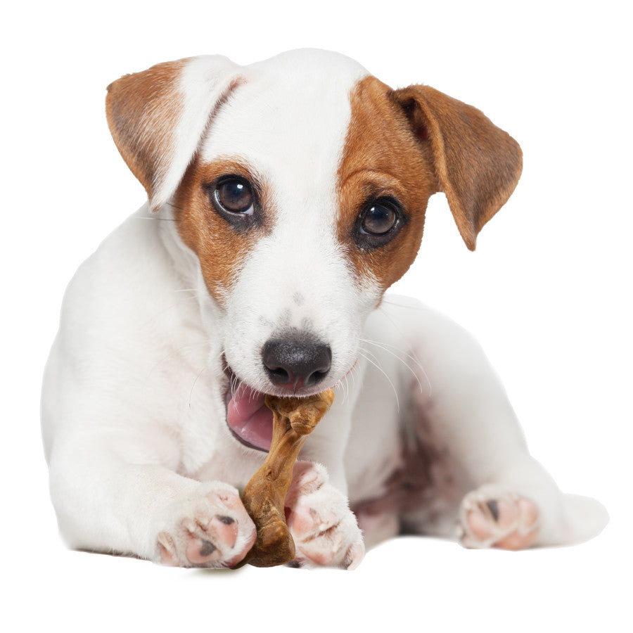 Ham, 1ea/SMall/Regular - Up To 25 Ibs. (4 ct)