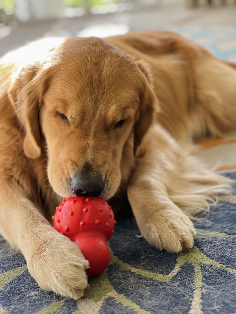 Bacon, 1ea/Large/Giant - Up To 50 Lbs. (1 ct)