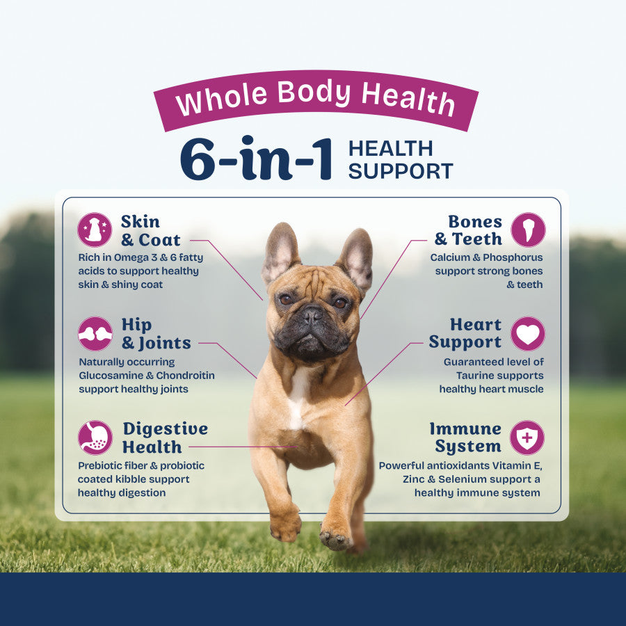 Chicken, Rice & Pumpkin, 1ea/4 lb