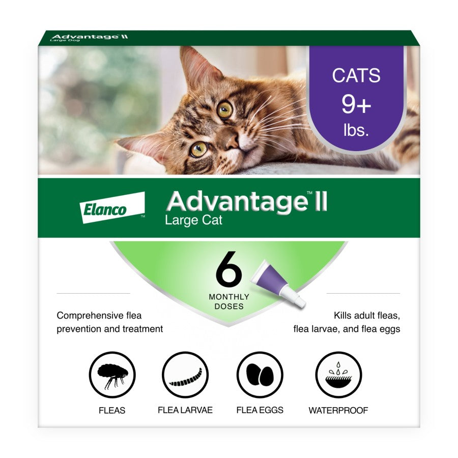 6-Month Supply, 1ea/LG Cats (Over 9Lbs)