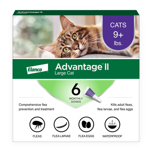 6-Month Supply, 1ea/LG Cats (Over 9Lbs)