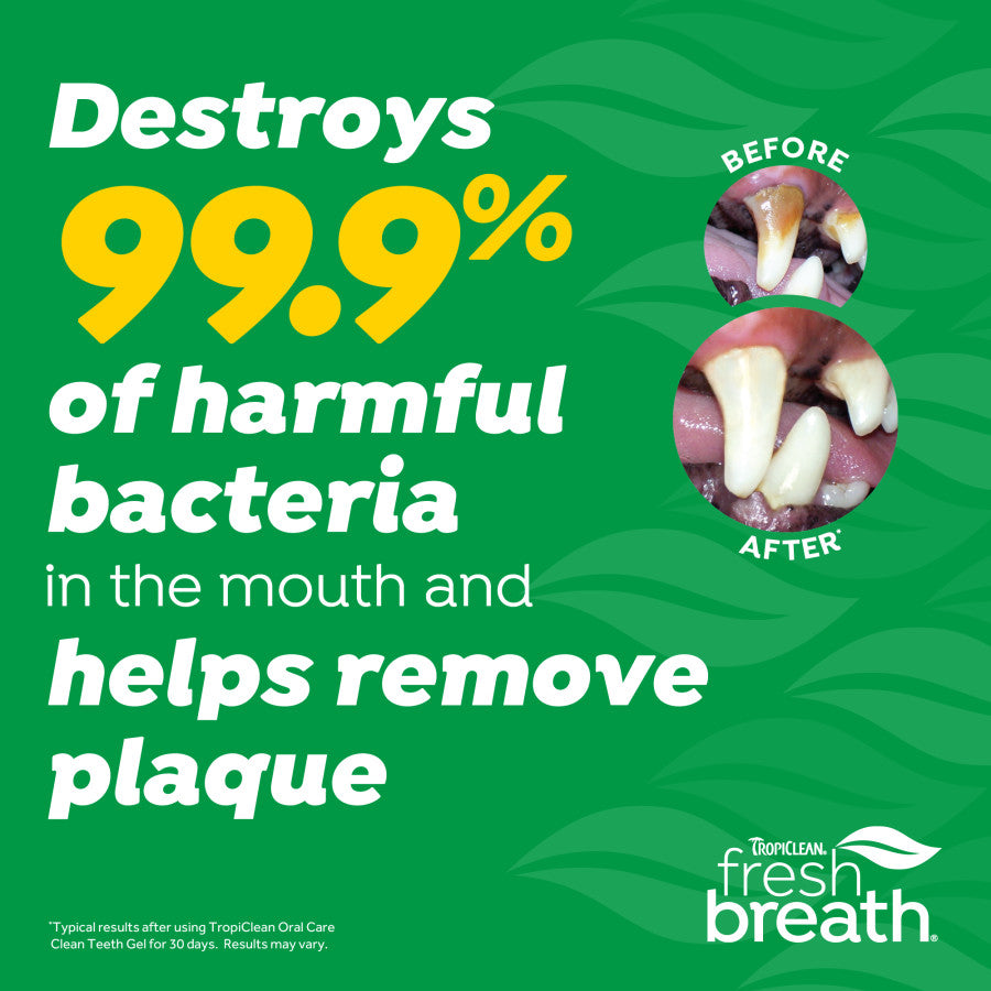 Smoked Beef Brisket, 1ea/2 oz