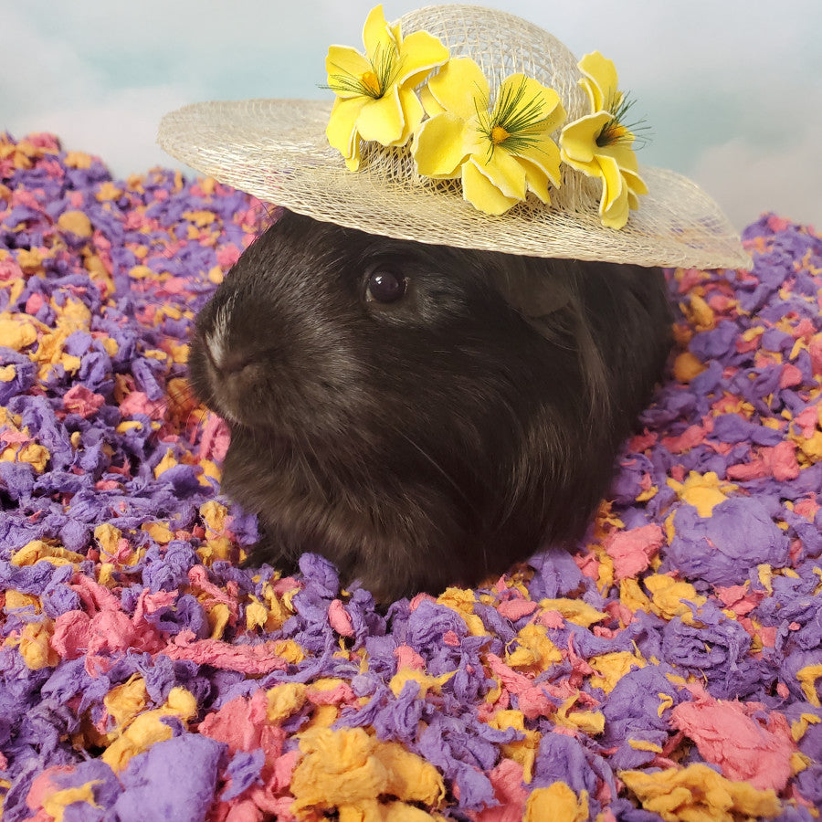 Beach Party, 1ea/50 l