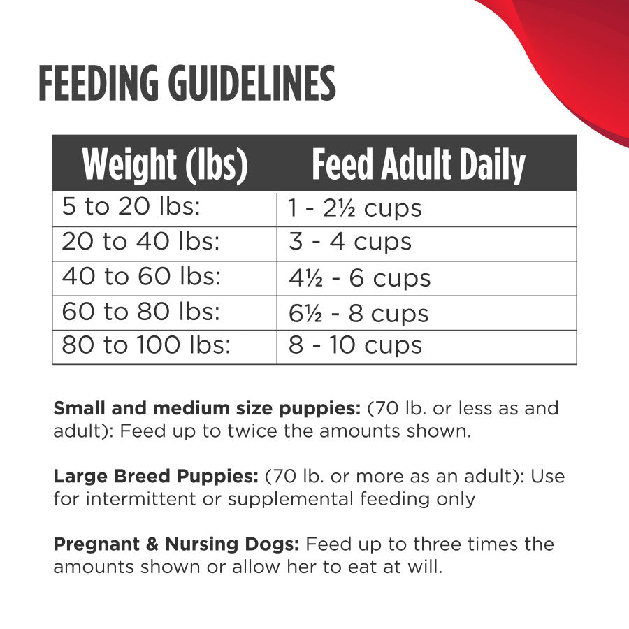 Chicken w/Blueberries, 1ea/8 oz