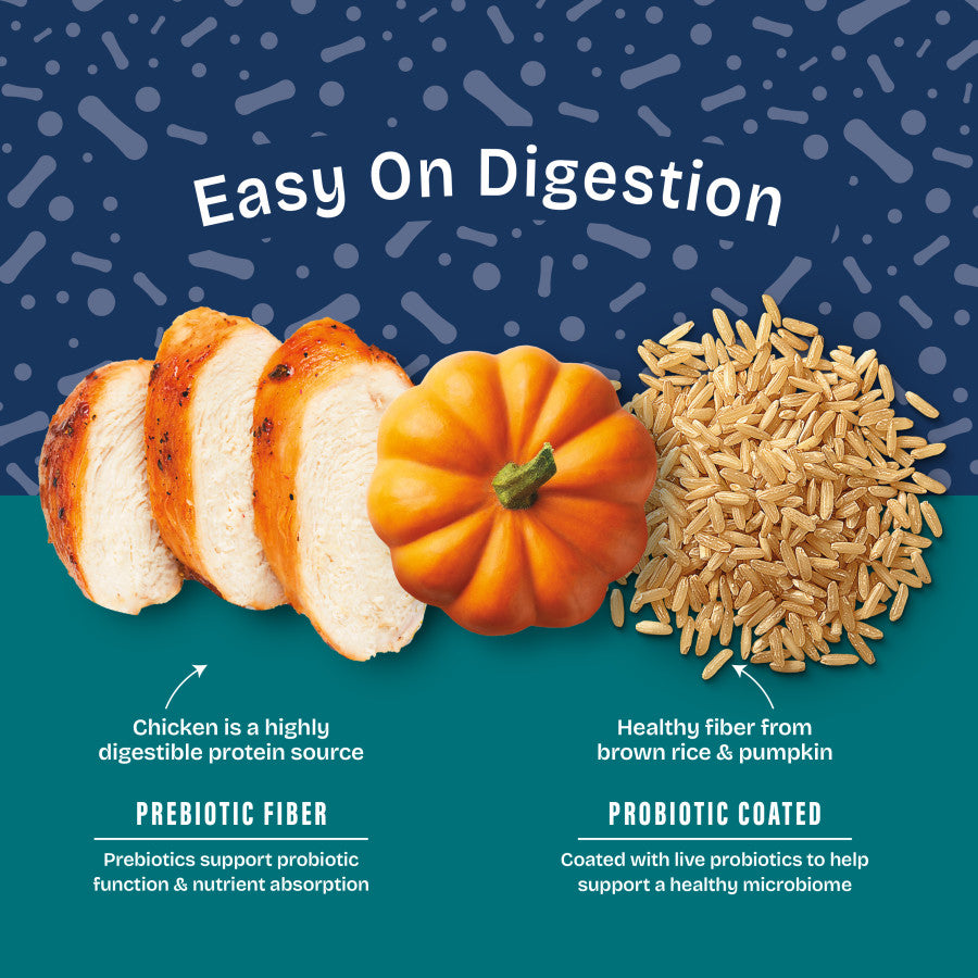 Chicken, Rice & Pumpkin, 1ea/4 lb