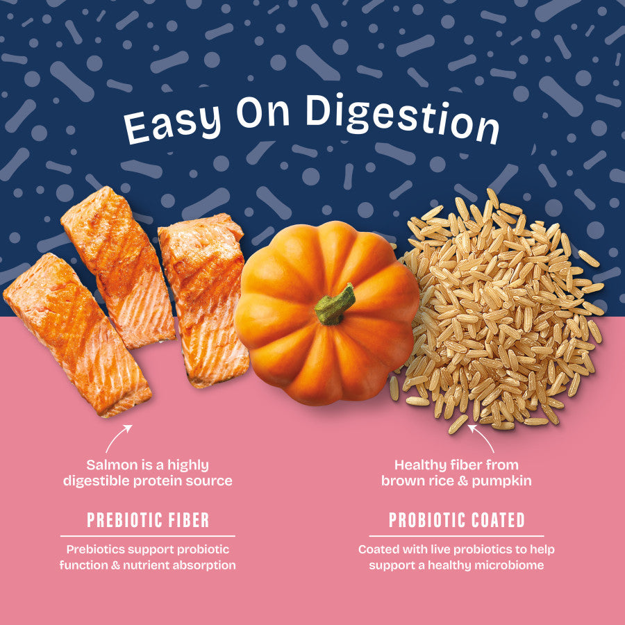Salmon, Brown Rice & Pumpkin, 1ea/22 lb