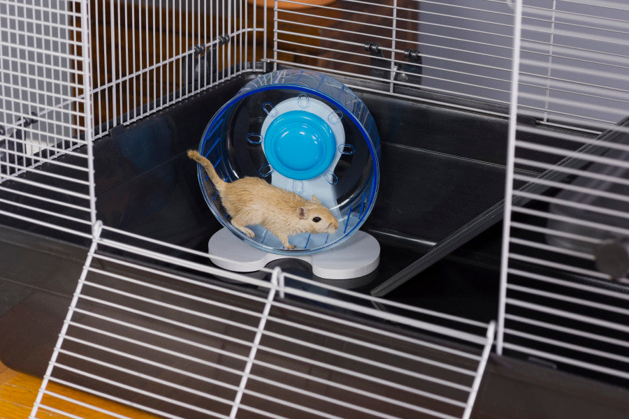 For Mouse/Gerbil, Translucent Blue, White, 1ea/6 in