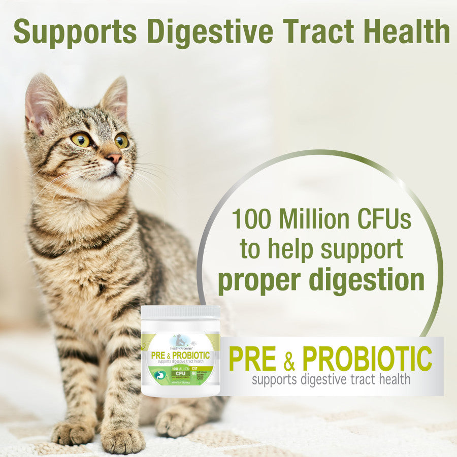 Pre and Probiotic, 1ea/90 ct