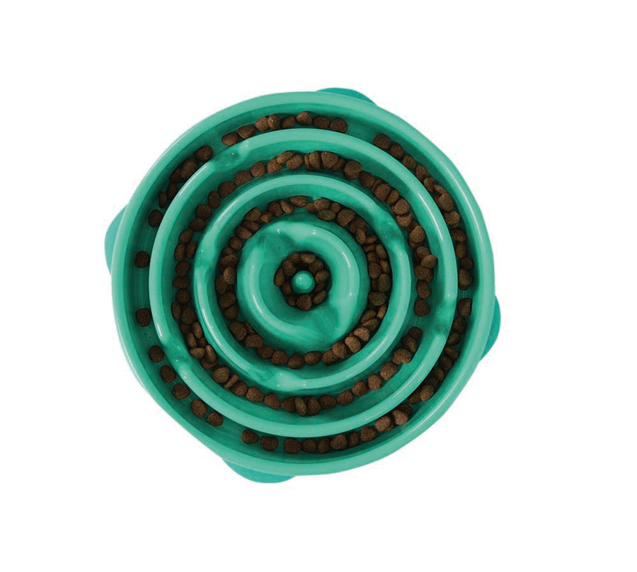 Turquoise, 1ea/LG