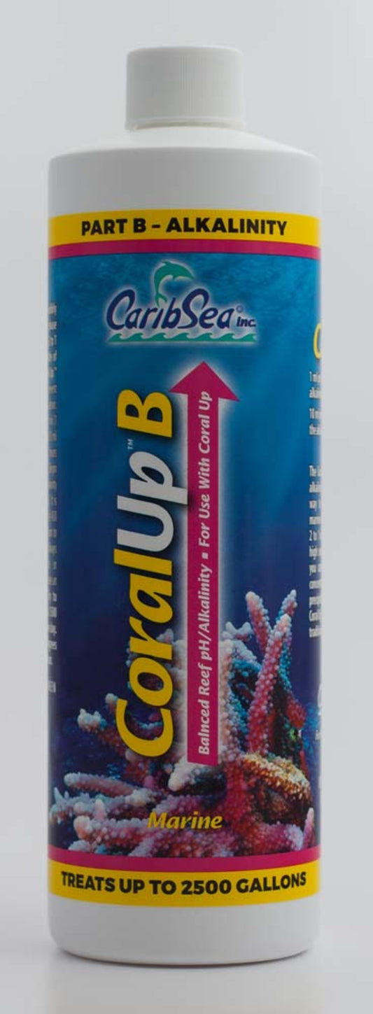 1ea/16 fl oz