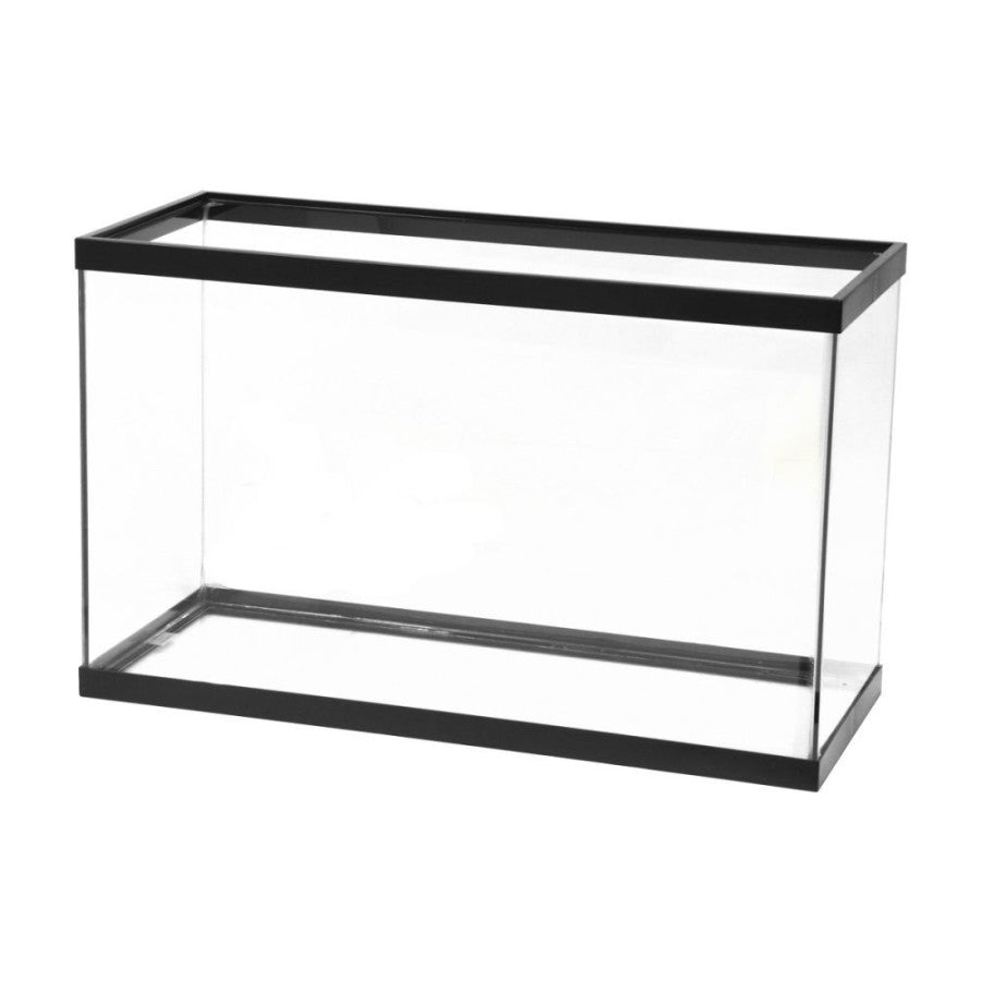 Clear Silicone, Black, 1ea/29 gal