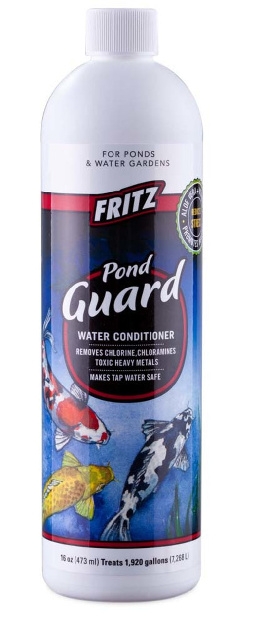 1ea/16 fl oz