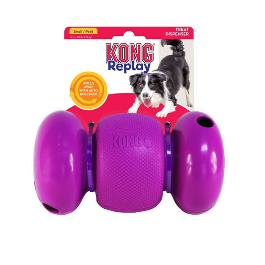 Purple, 1ea/LG