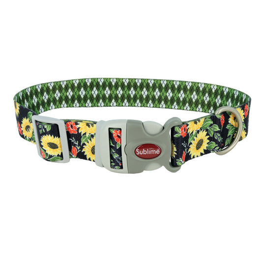 Sunflower w/Green Argyle, 1ea/12-18 in