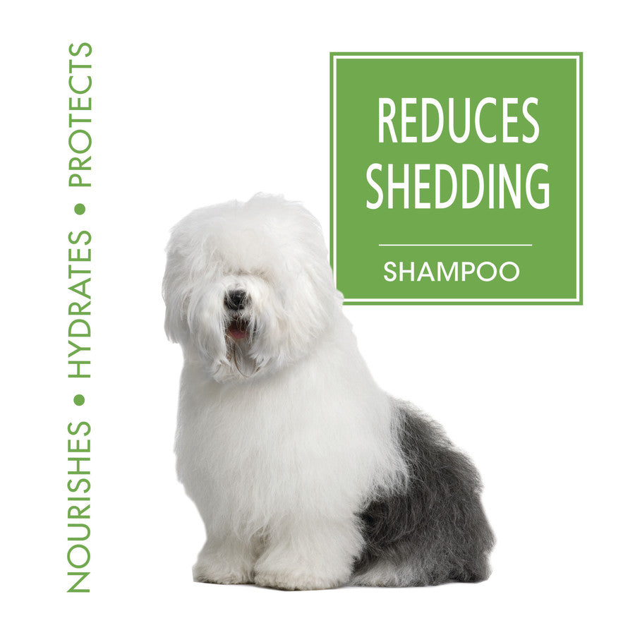 Reduces Shedding Dog Shampoo, 1ea/16 oz (1 ct)