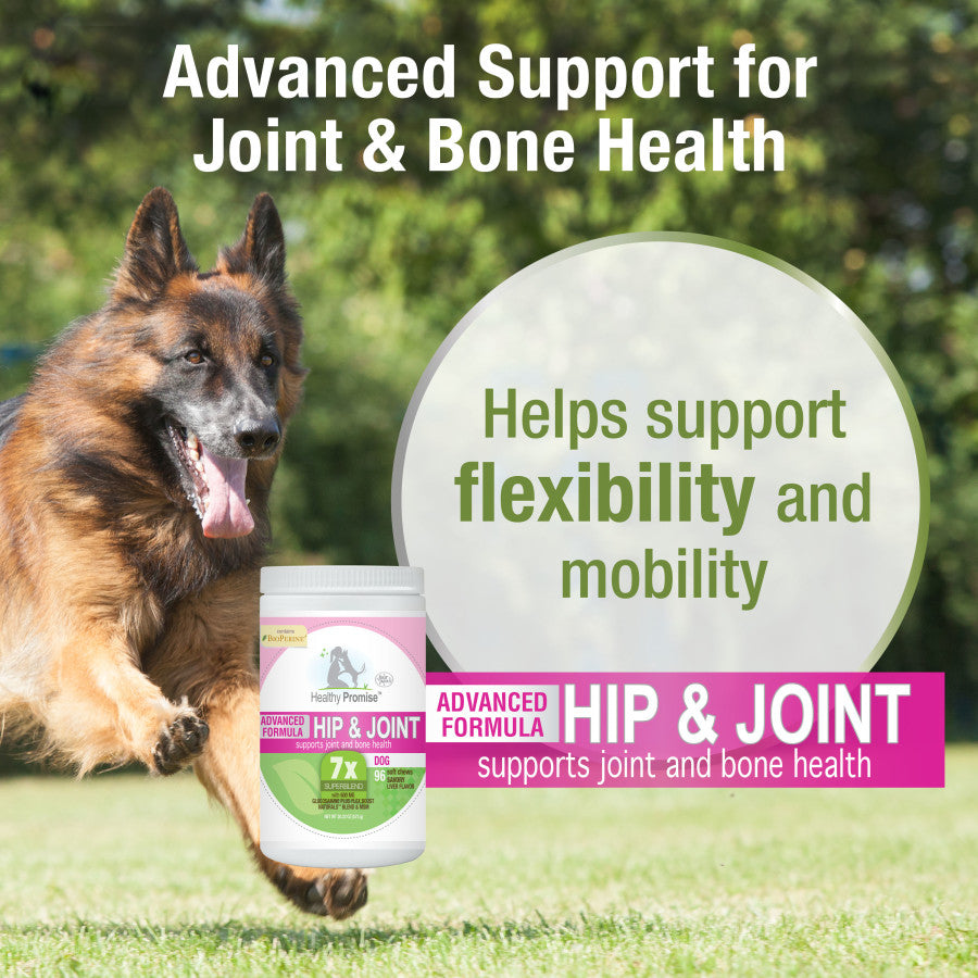 Hip & Joint, 1ea/96 ct