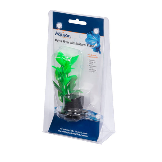 Natural Plant, 1ea/One Size