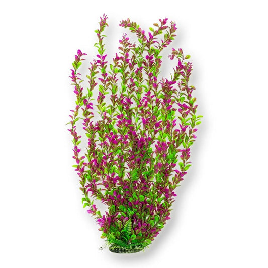 Green, Pink, 1ea/30 in, Tall