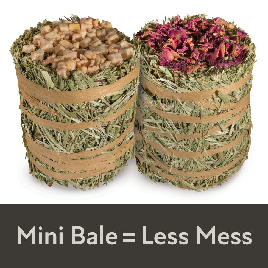 2 Pack, 1ea/7 oz