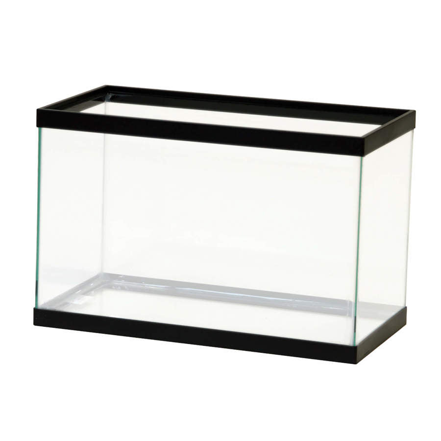 Clear Silicone, Black, 1ea/5.5 gal