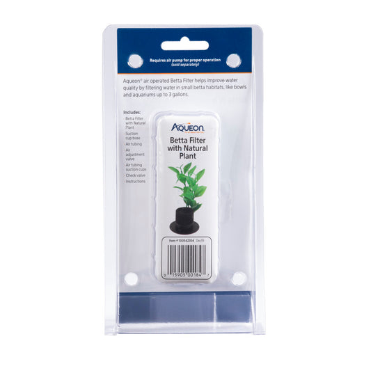 Natural Plant, 1ea/One Size